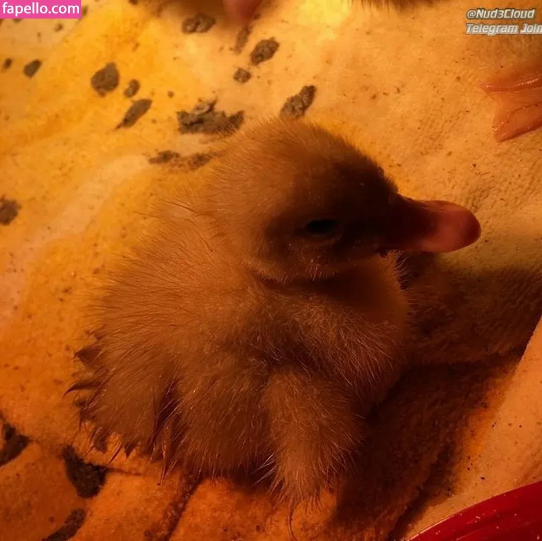 Veronica Wilson Onlyfans Photo Gallery 