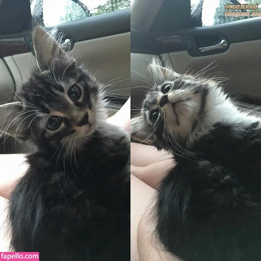 Veronica Wilson Onlyfans Photo Gallery 