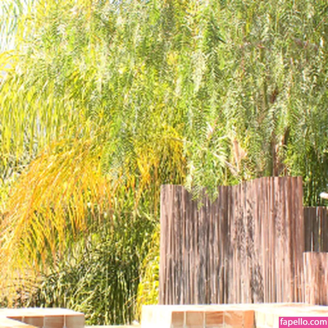 Jessie Rogers Onlyfans Photo Gallery 