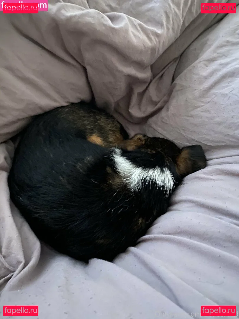 bellecreed Onlyfans Photo Gallery 