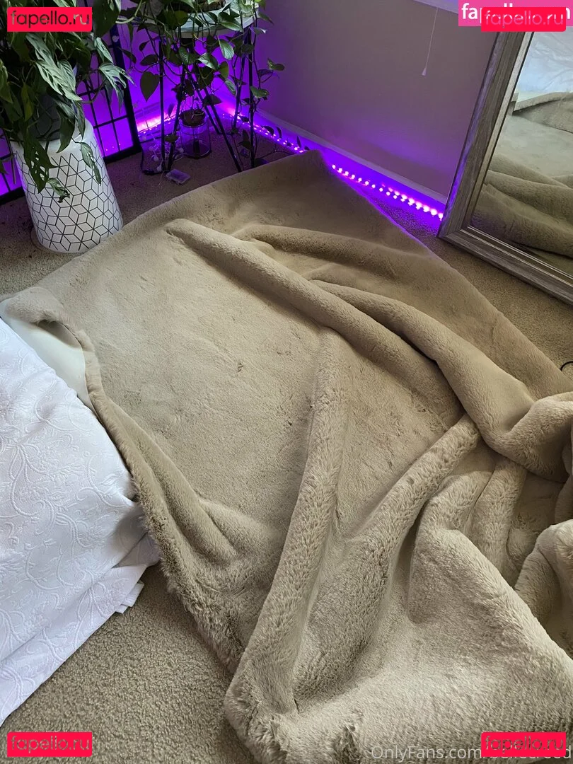 bellecreed Onlyfans Photo Gallery 