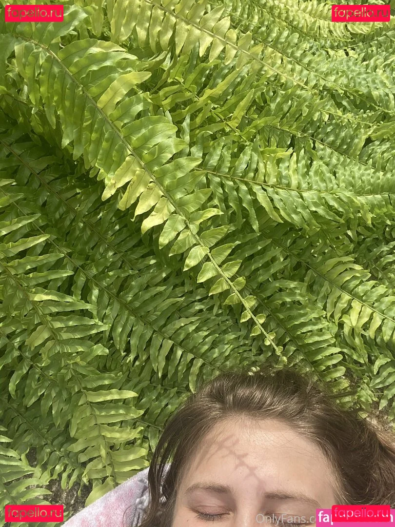 bellecreed Onlyfans Photo Gallery 