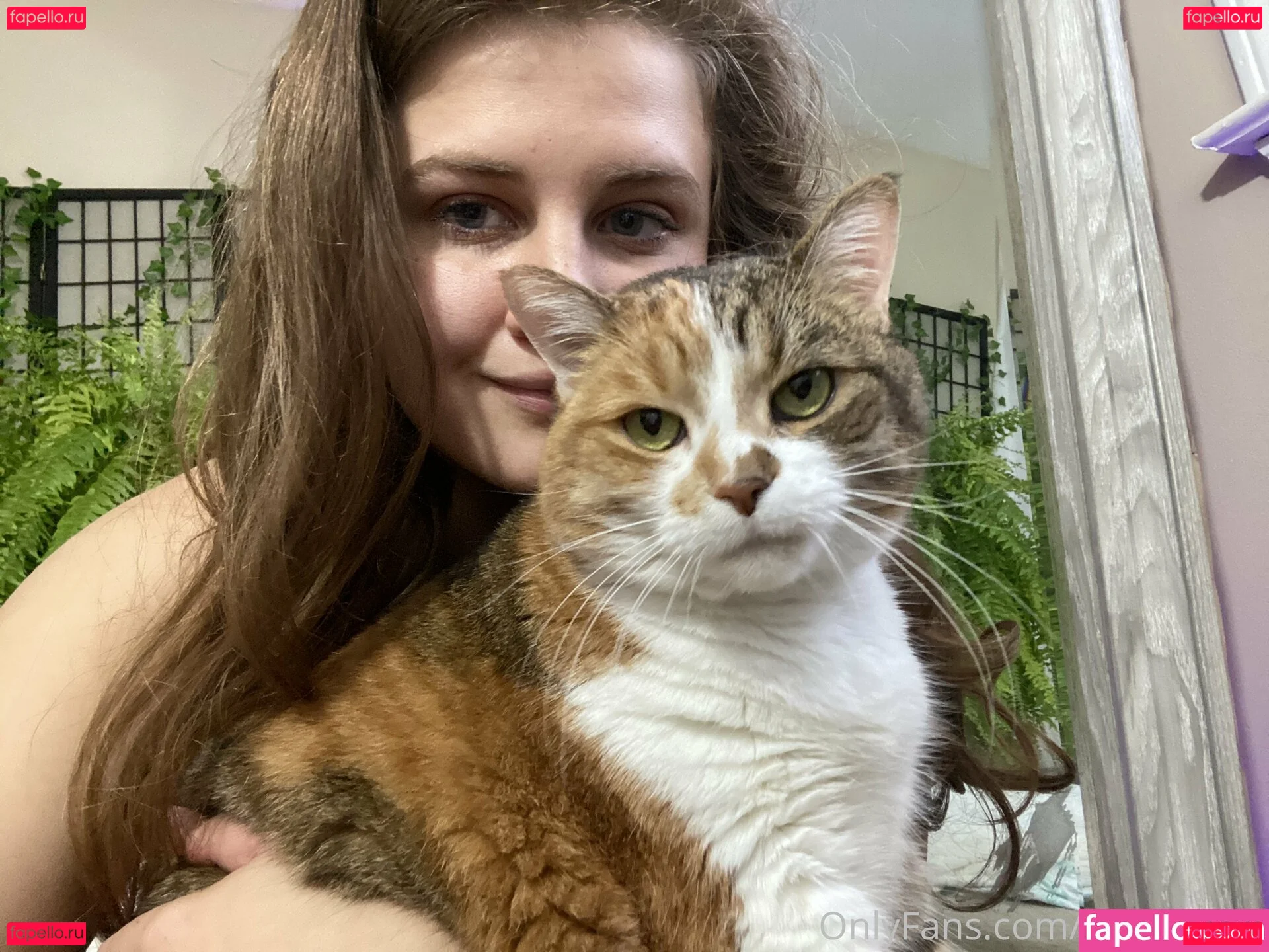 bellecreed Onlyfans Photo Gallery 