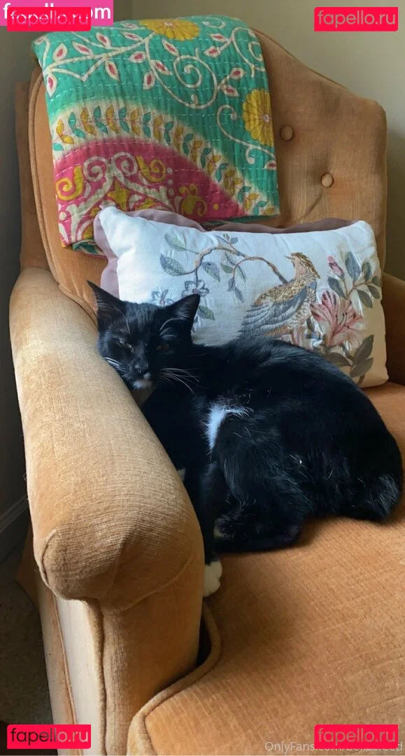 bellecreed Onlyfans Photo Gallery 