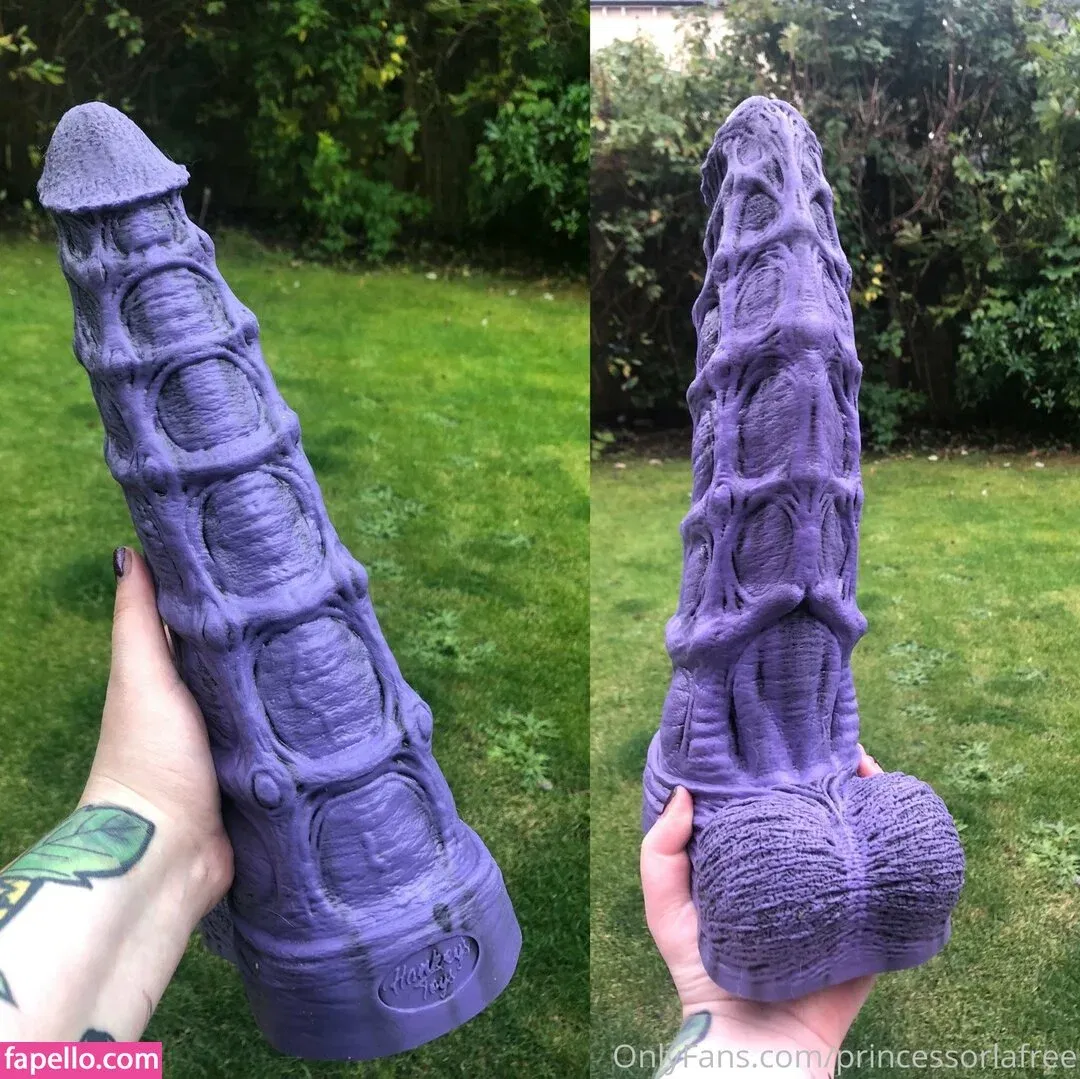 obeyorla Onlyfans Photo Gallery 