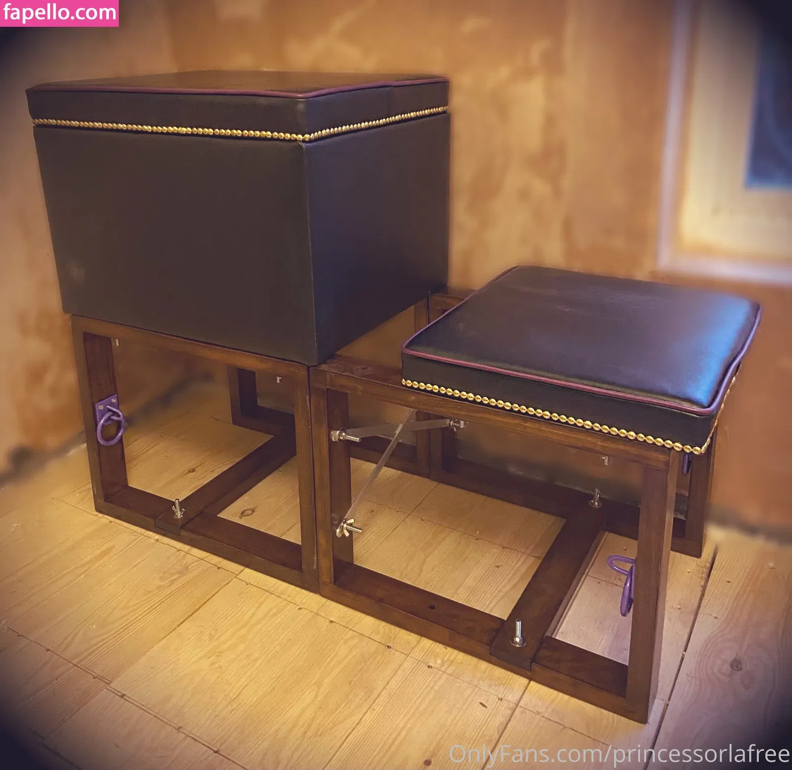 obeyorla Onlyfans Photo Gallery 