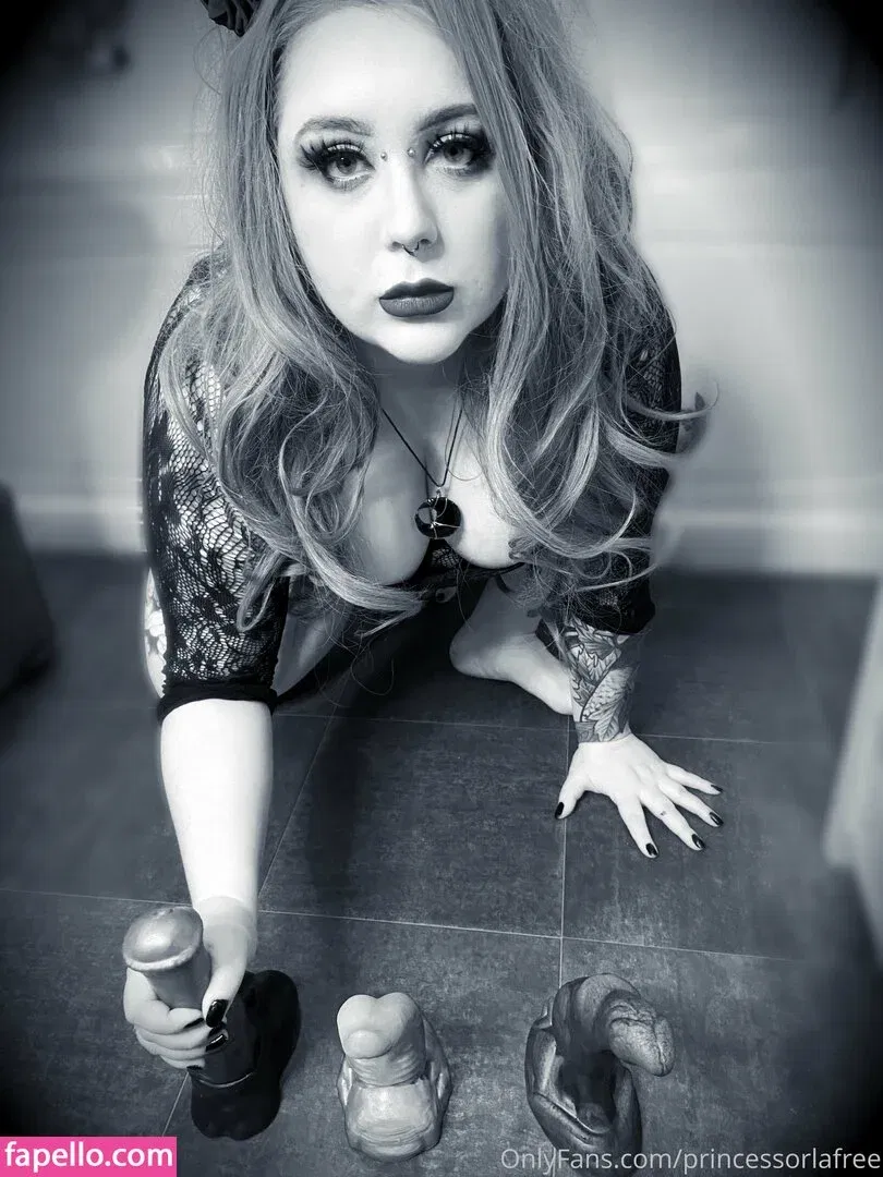 obeyorla Onlyfans Photo Gallery 