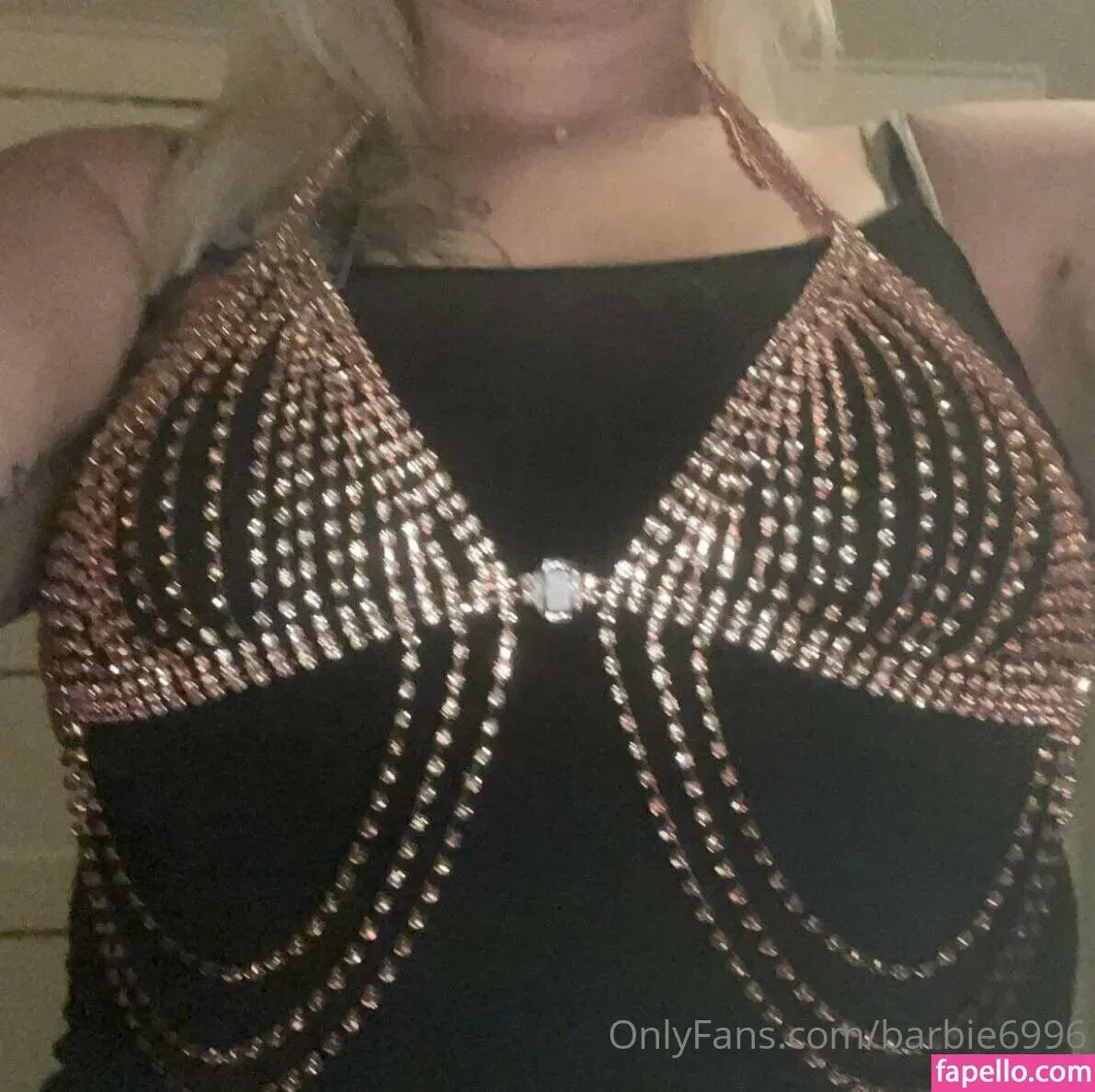 barbie6996 Onlyfans Photo Gallery 