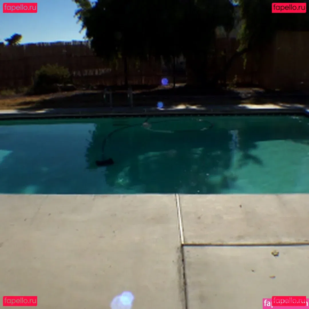 Primal Fetish Network Onlyfans Photo Gallery 