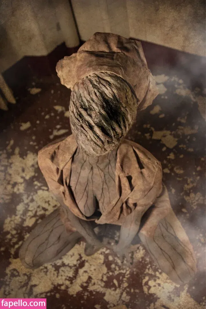 ShiroKitsune Onlyfans Photo Gallery 