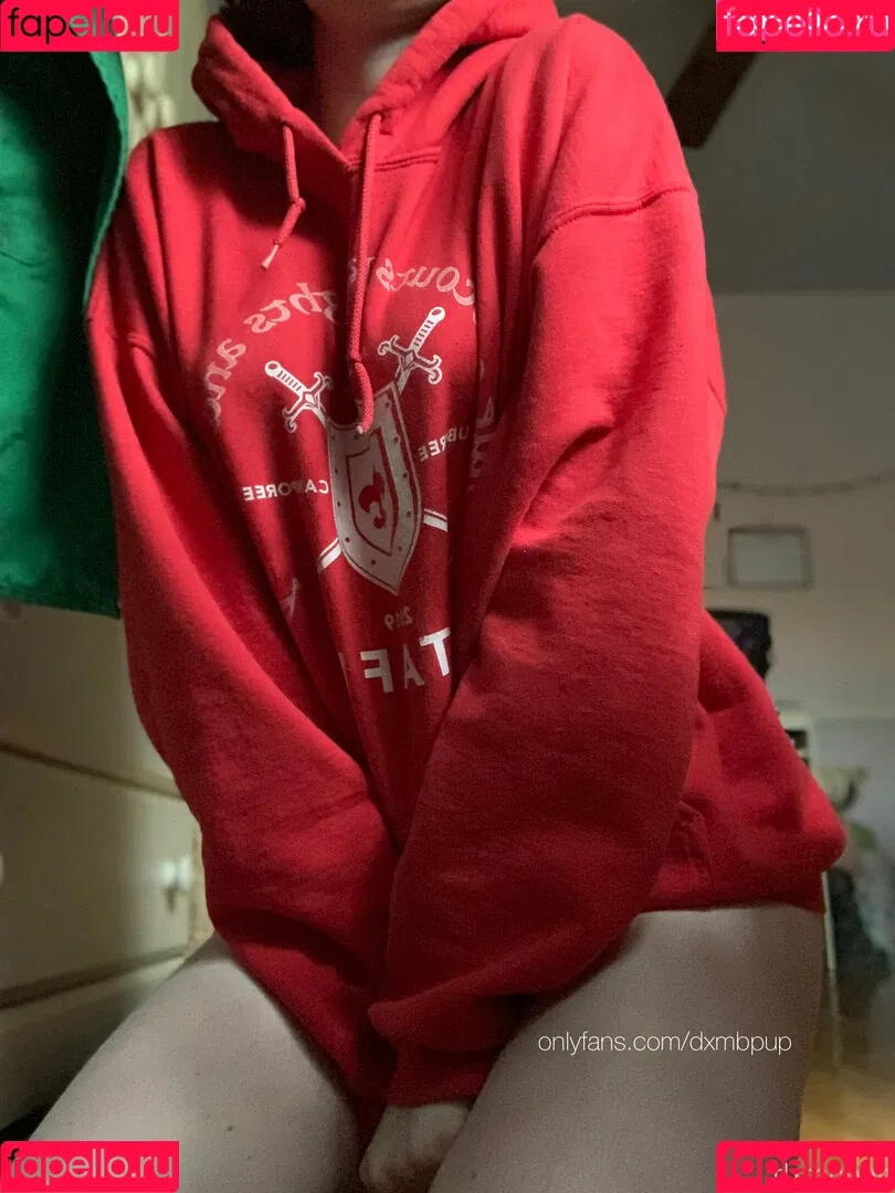 dxmbpup Onlyfans Photo Gallery 