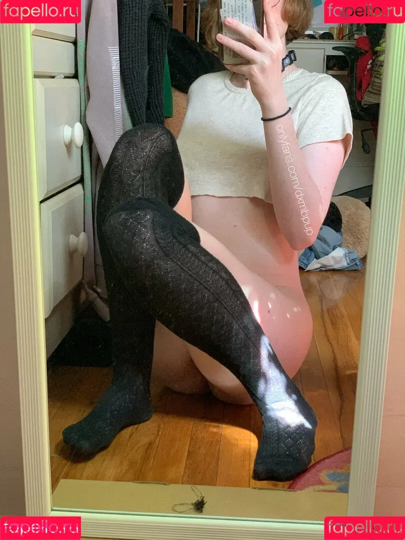 dxmbpup Onlyfans Photo Gallery 