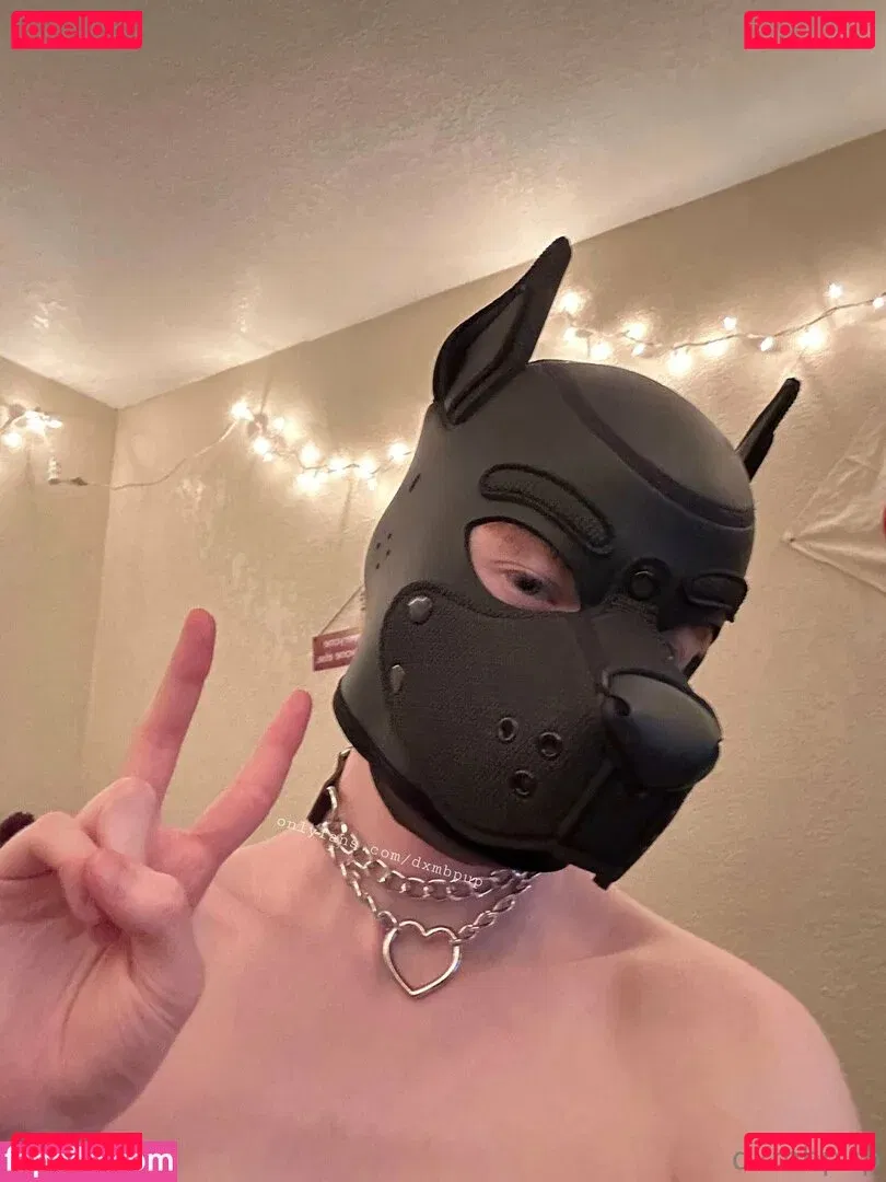 dxmbpup Onlyfans Photo Gallery 
