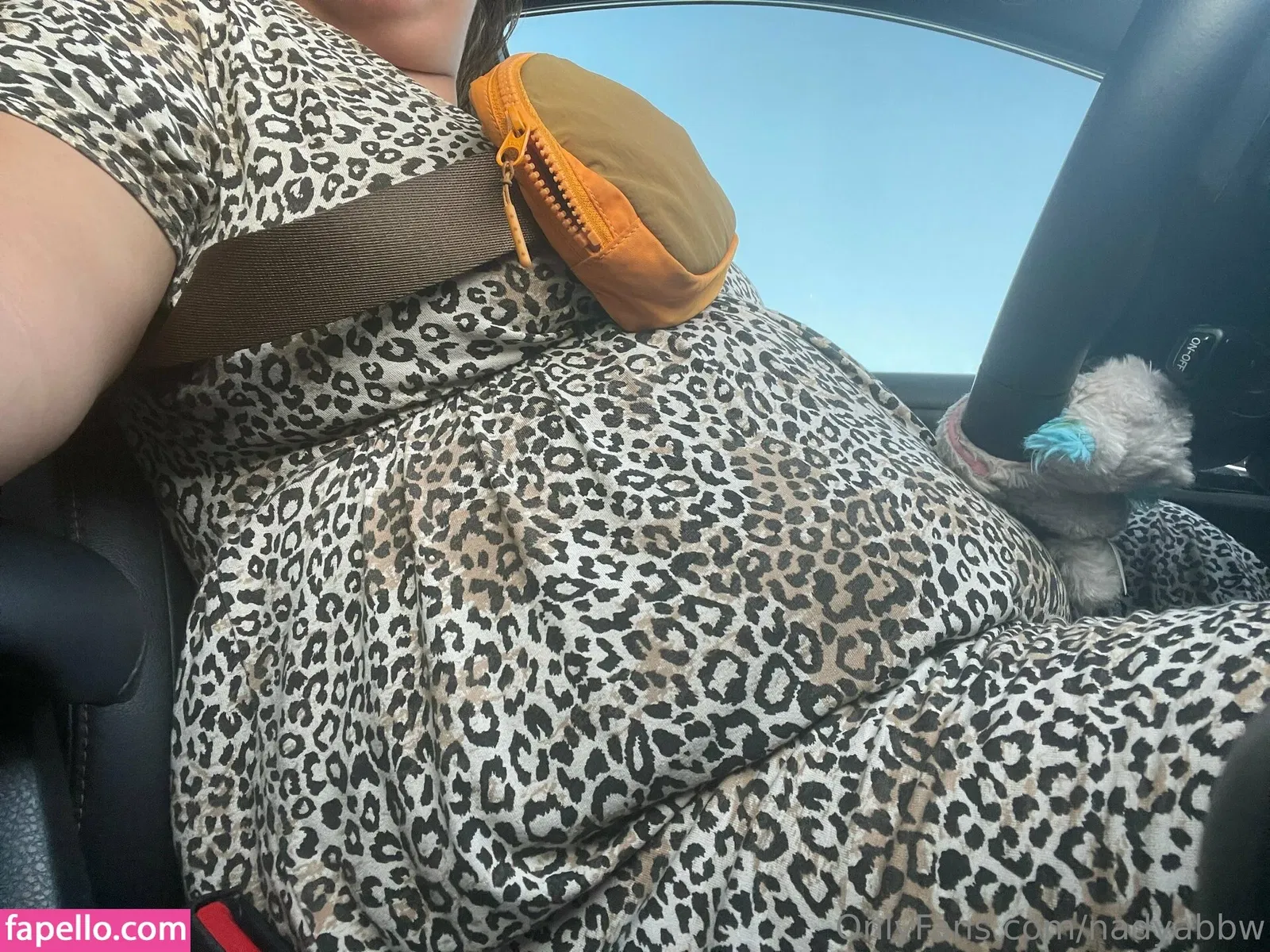 nadyabbw Onlyfans Photo Gallery 