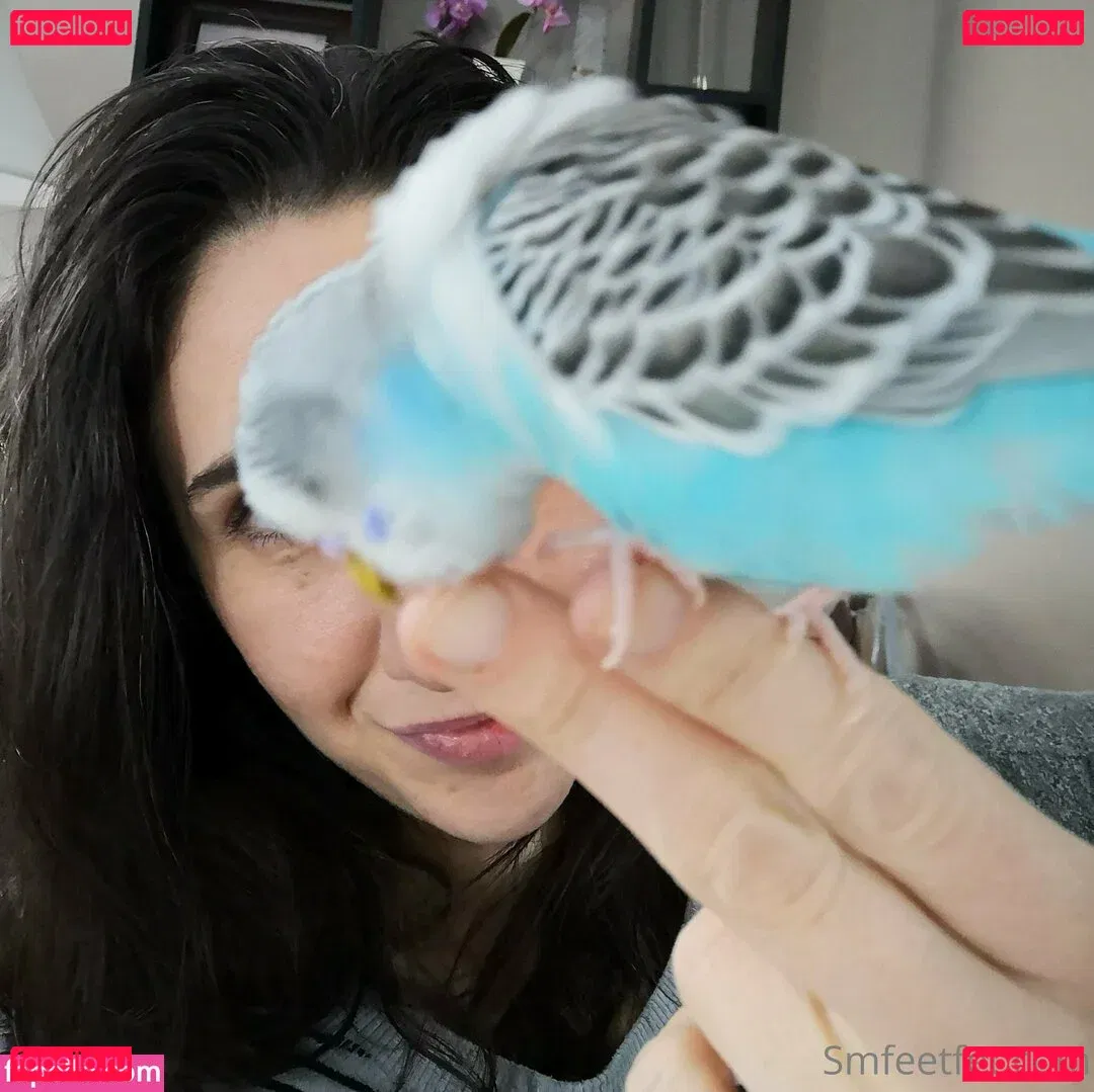 giantessmason Onlyfans Photo Gallery 