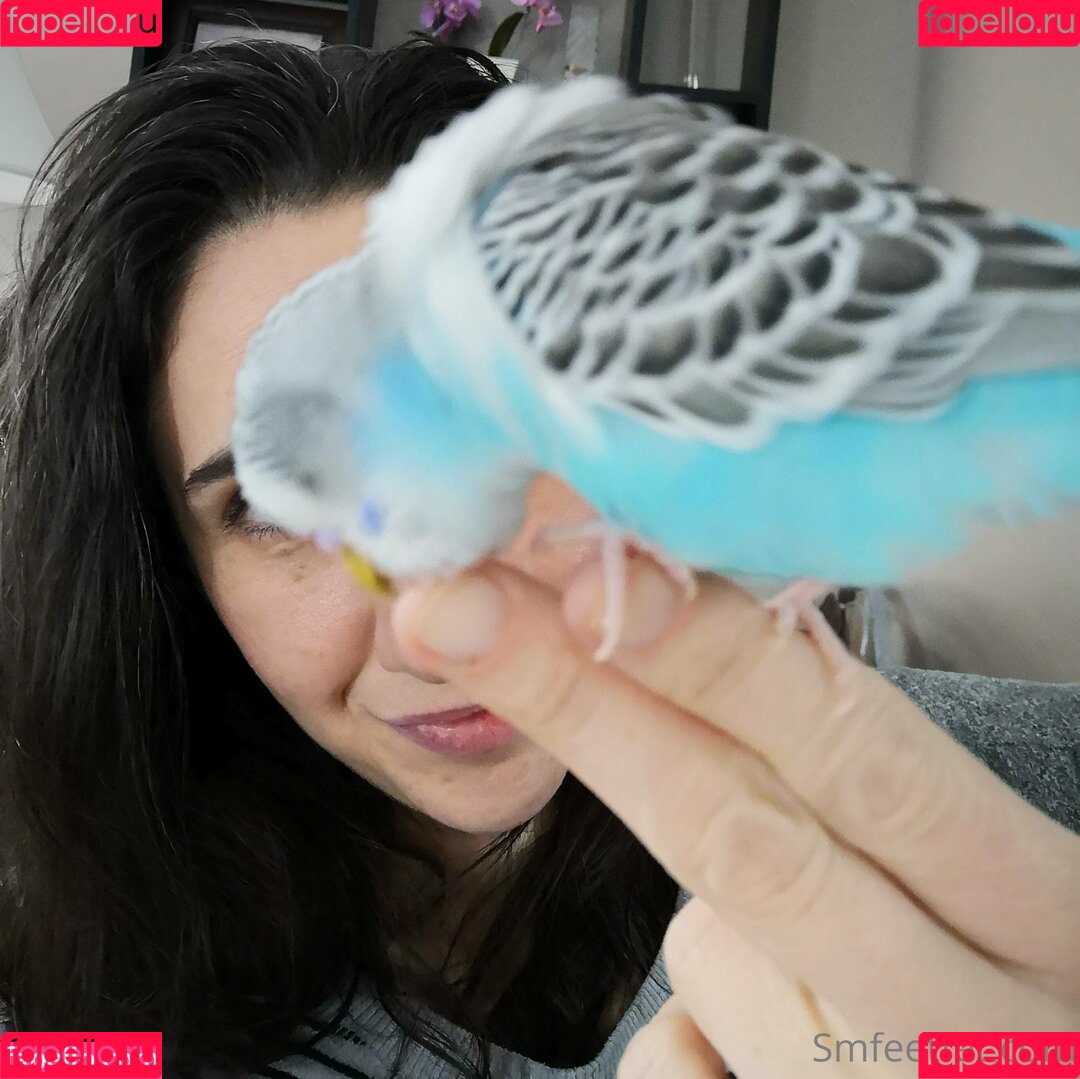 giantessmason Onlyfans Photo Gallery 