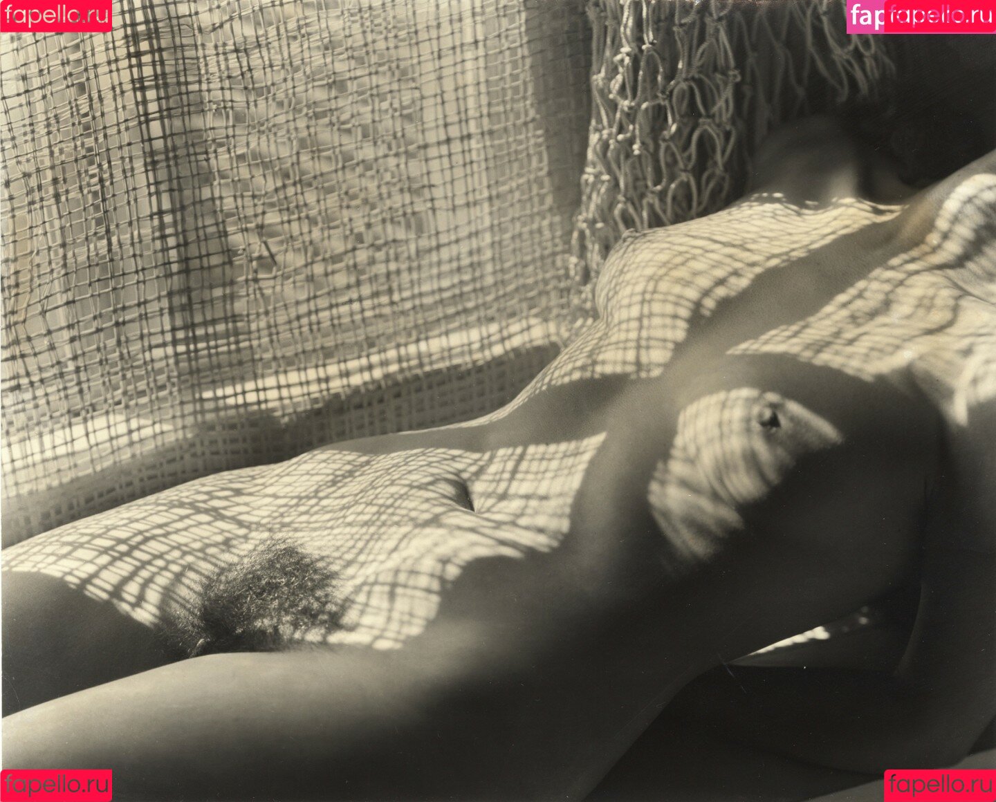 ayanami_reii Onlyfans Photo Gallery 