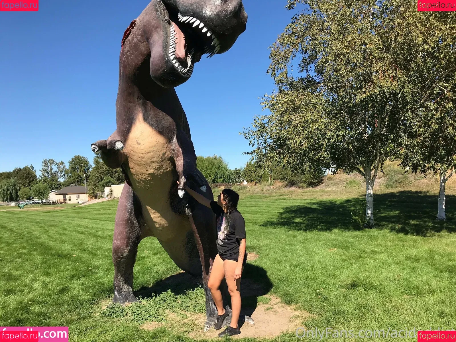 acidaddict Onlyfans Photo Gallery 