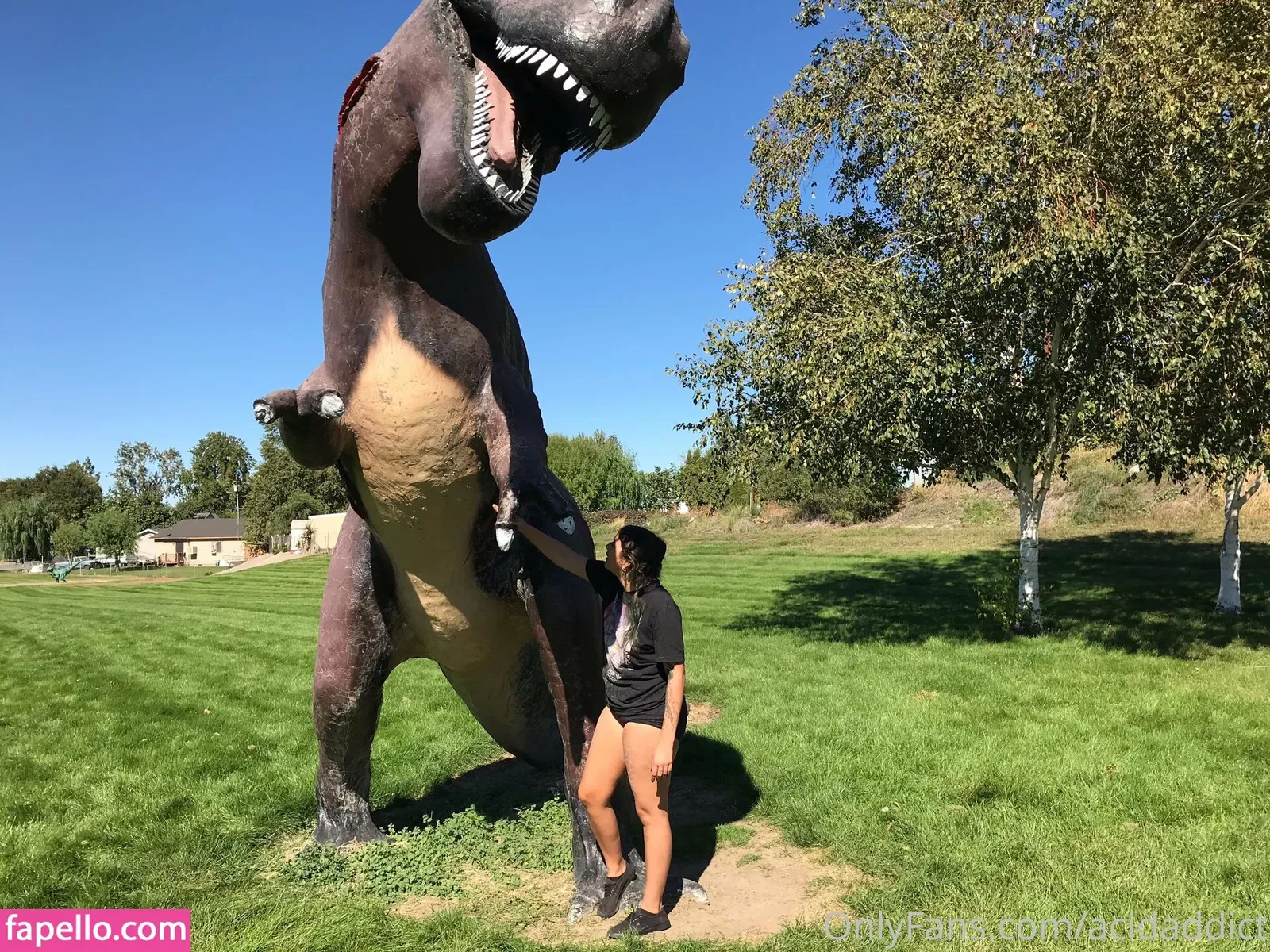 acidaddict Onlyfans Photo Gallery 