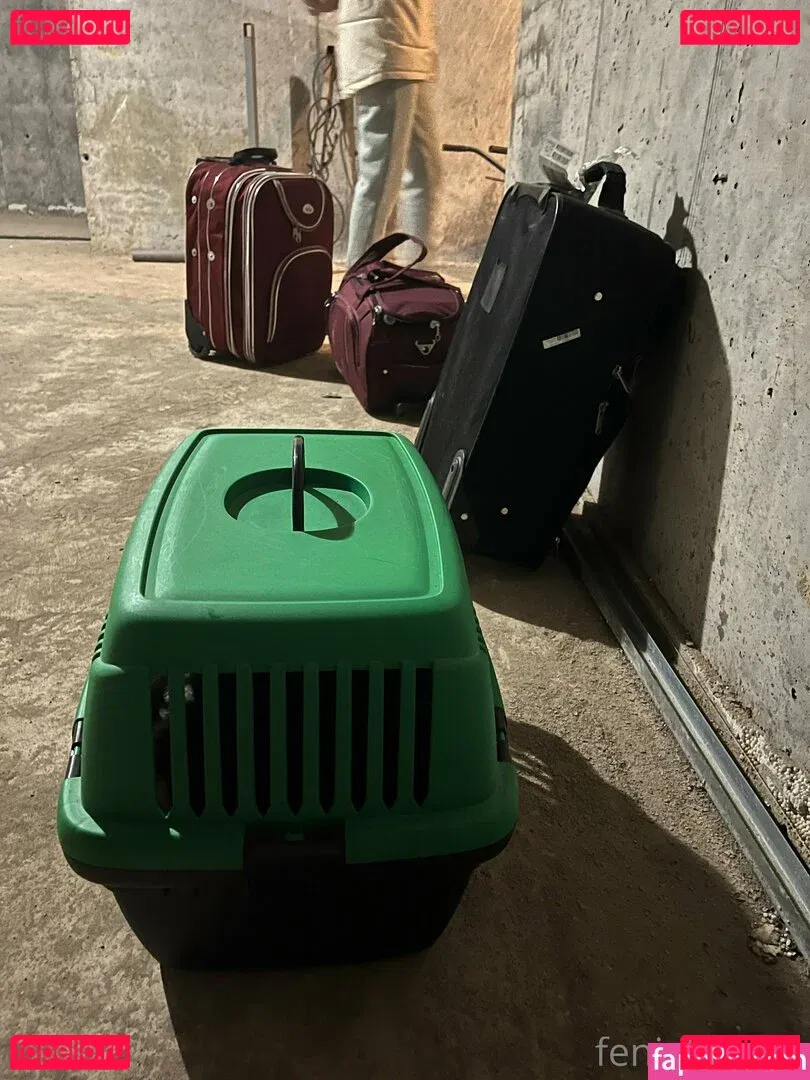 Fenix Fatalist Onlyfans Photo Gallery 