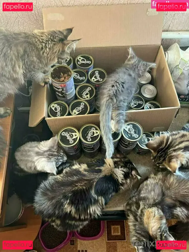 Fenix Fatalist Onlyfans Photo Gallery 