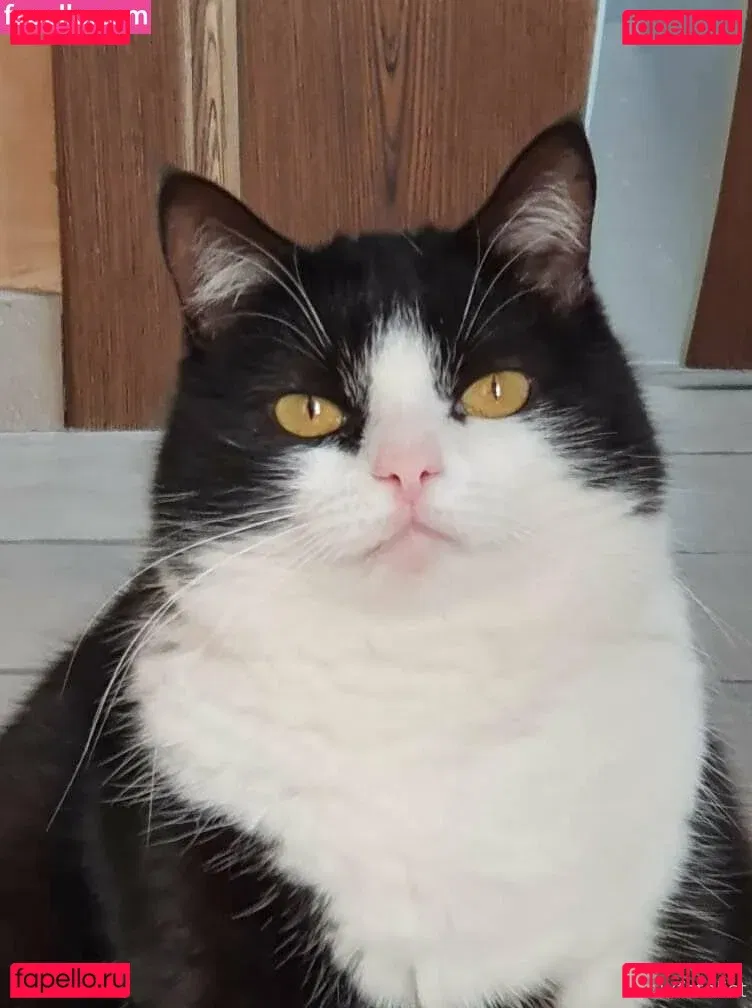 Fenix Fatalist Onlyfans Photo Gallery 