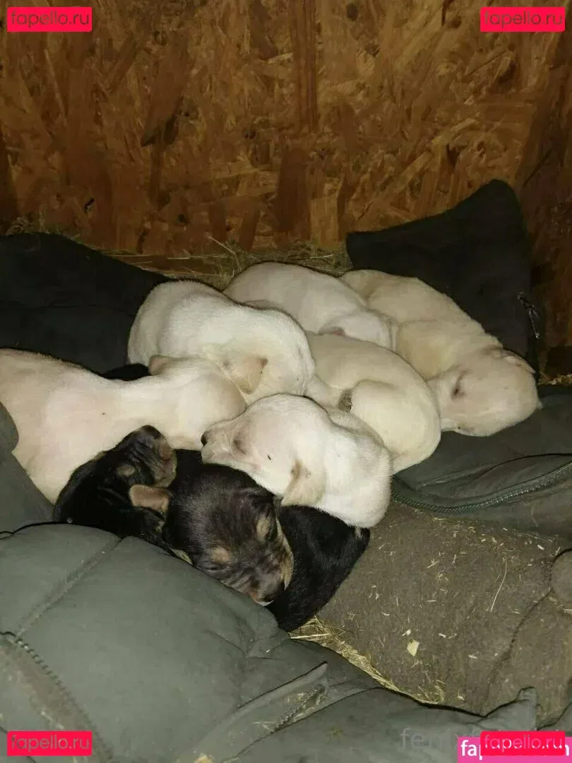 Fenix Fatalist Onlyfans Photo Gallery 