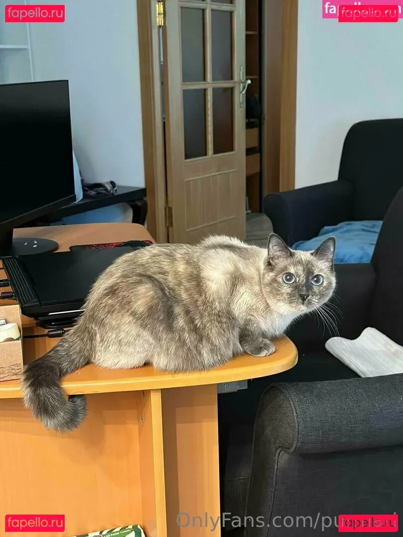 purmari Onlyfans Photo Gallery 