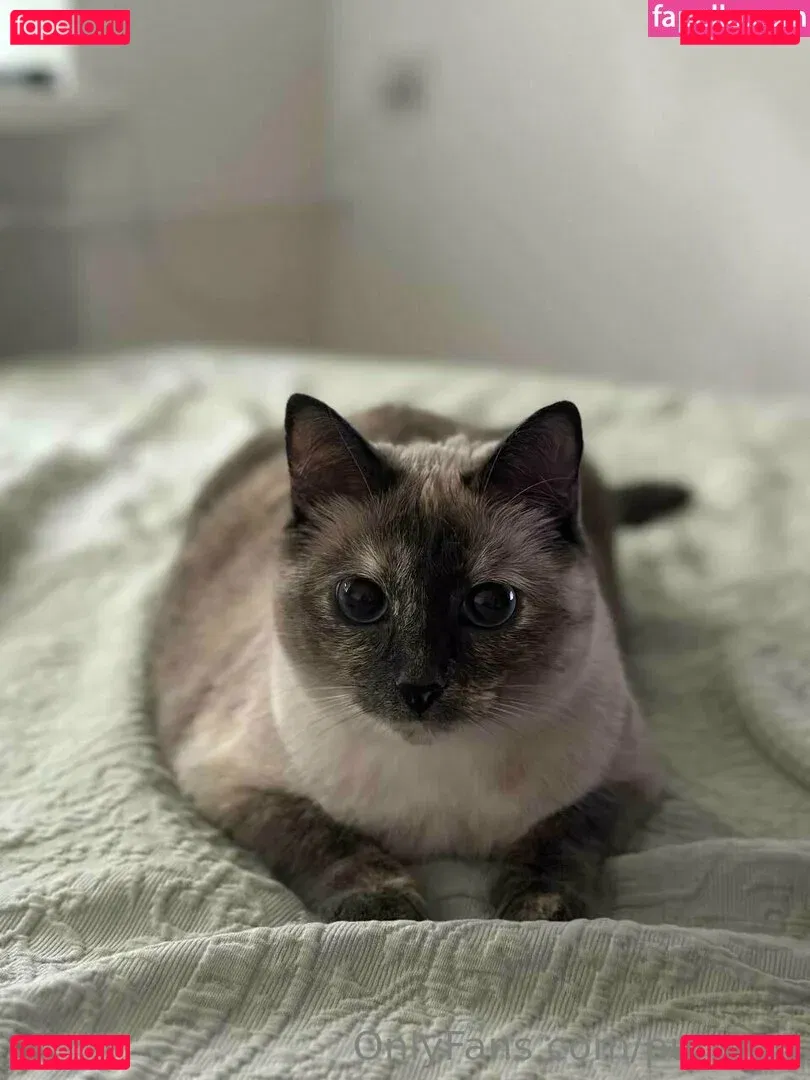 purmari Onlyfans Photo Gallery 