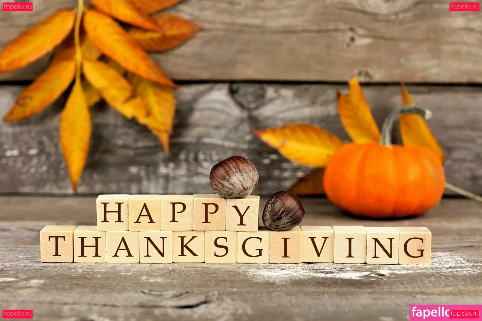 hugeboobserin Onlyfans Photo Gallery 