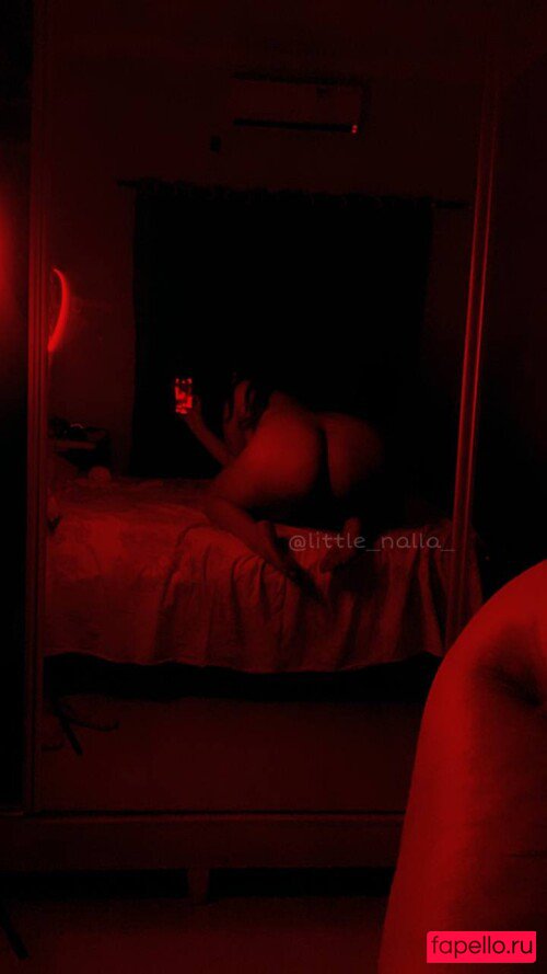Little_nalla Nude Onlyfans Photo 36