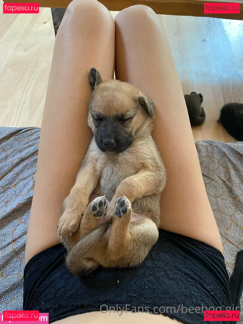 beeboo.girl Onlyfans Photo Gallery 