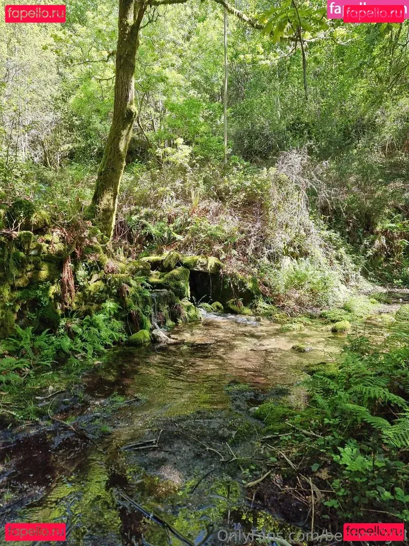 beeboo.girl Onlyfans Photo Gallery 