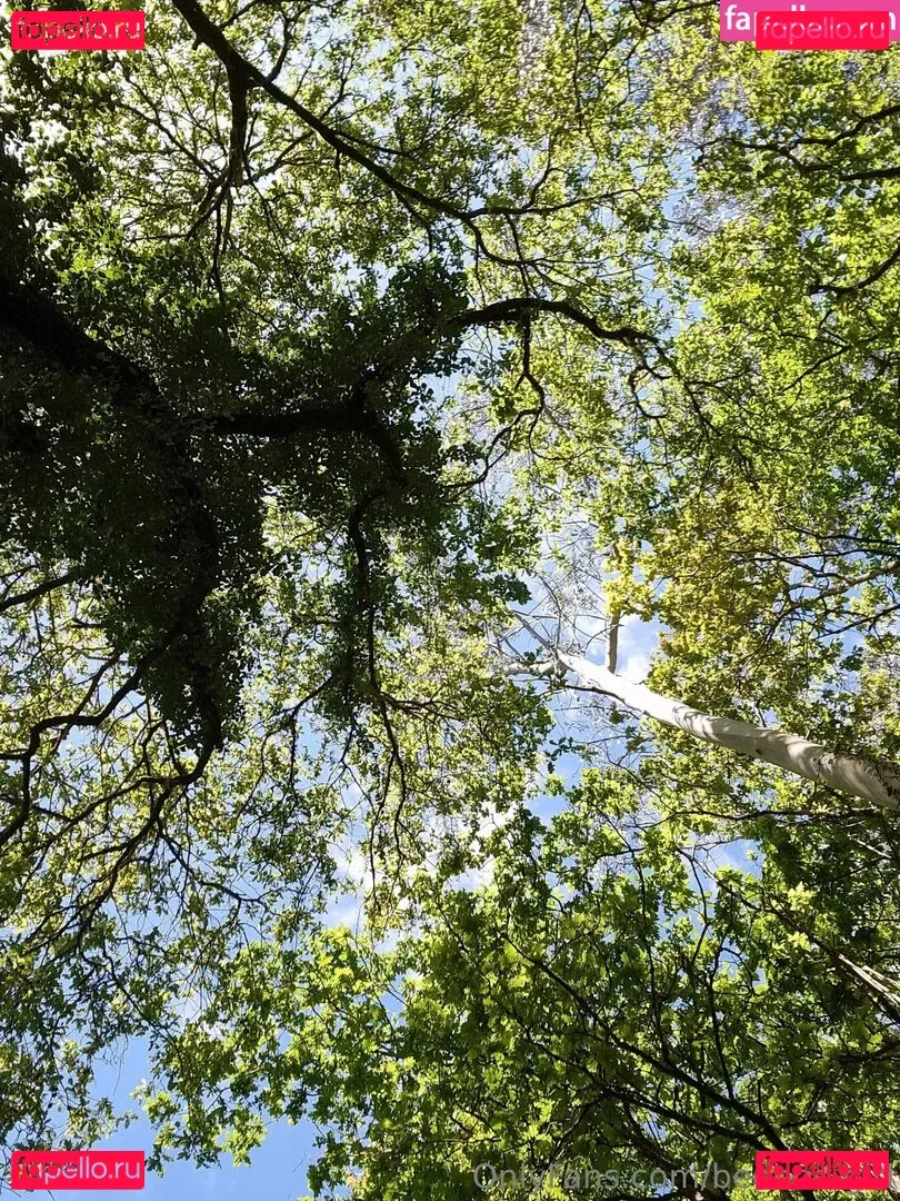 beeboo.girl Onlyfans Photo Gallery 