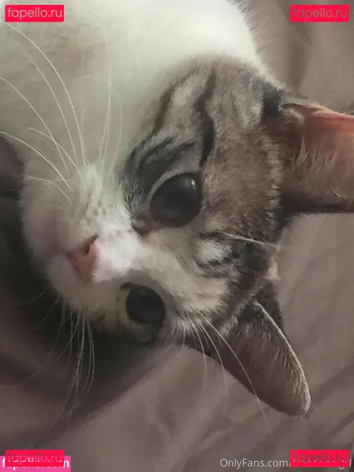 freesoda.grl Onlyfans Photo Gallery 