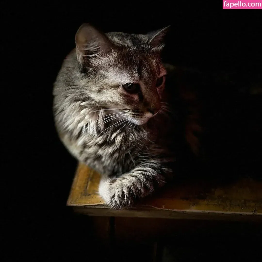 Zoya Rathore Onlyfans Photo Gallery 