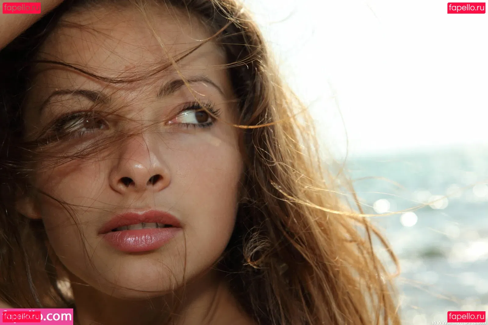 FemJoy Onlyfans Photo Gallery 