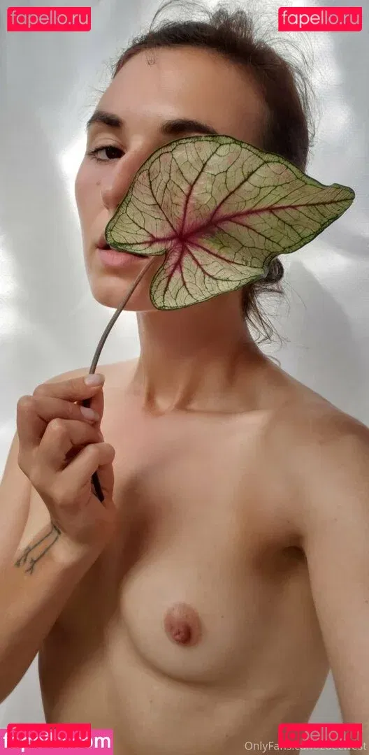 zoesfrenchpress Onlyfans Photo Gallery 