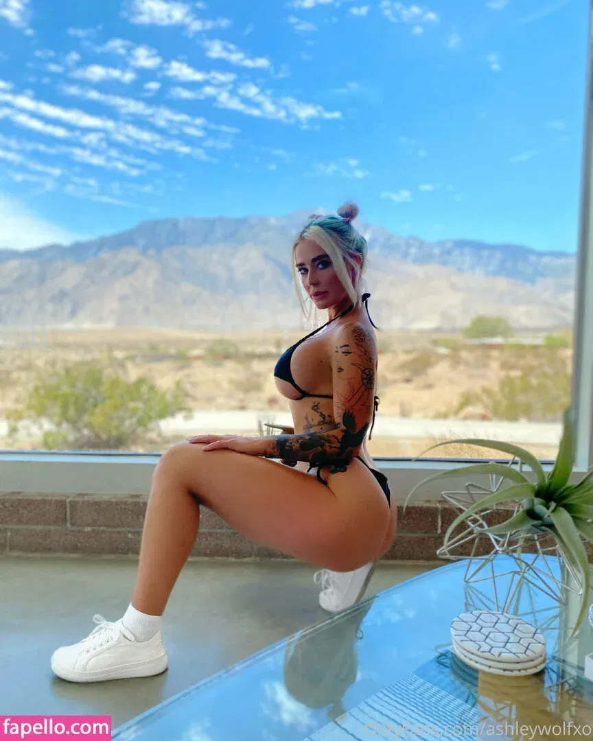 ashleywolfxo Onlyfans Photo Gallery 