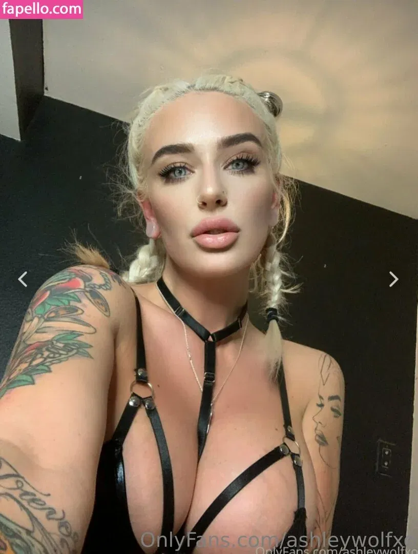 ashleywolfxo Onlyfans Photo Gallery 