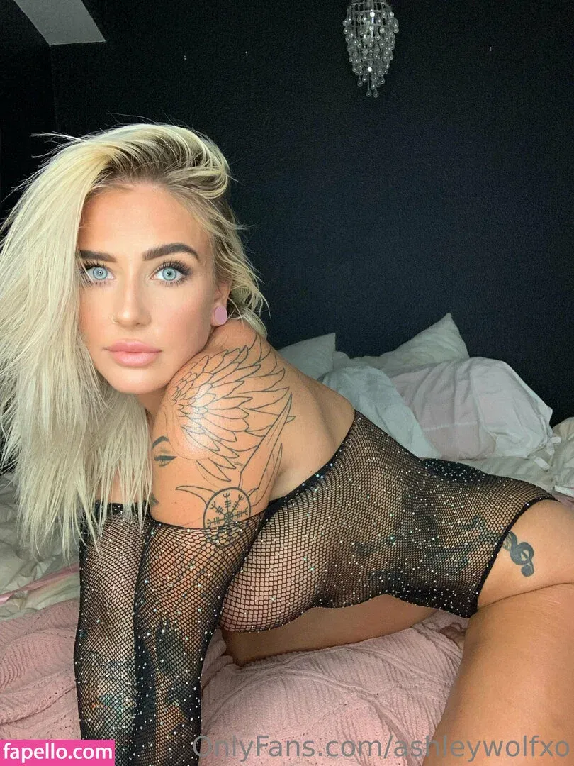 ashleywolfxo Onlyfans Photo Gallery 