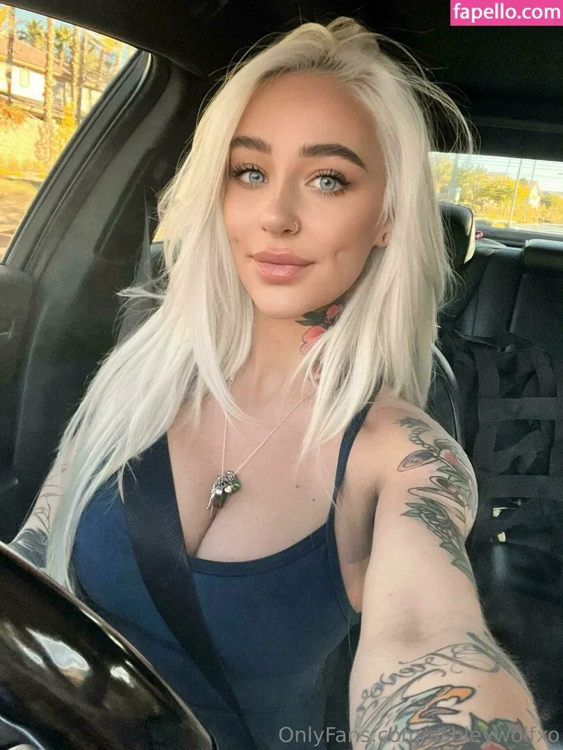 ashleywolfxo Onlyfans Photo Gallery 