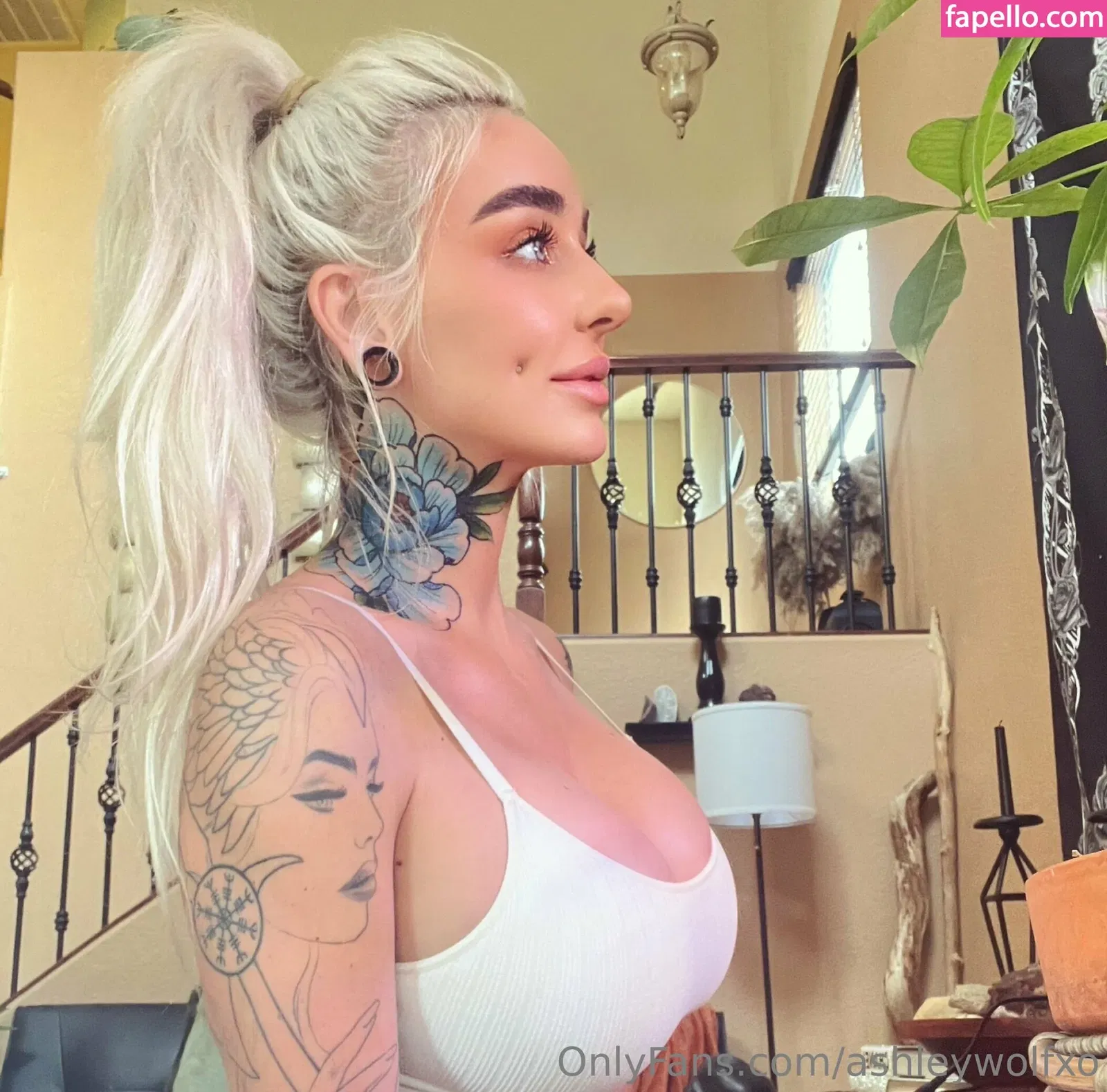 ashleywolfxo Onlyfans Photo Gallery 