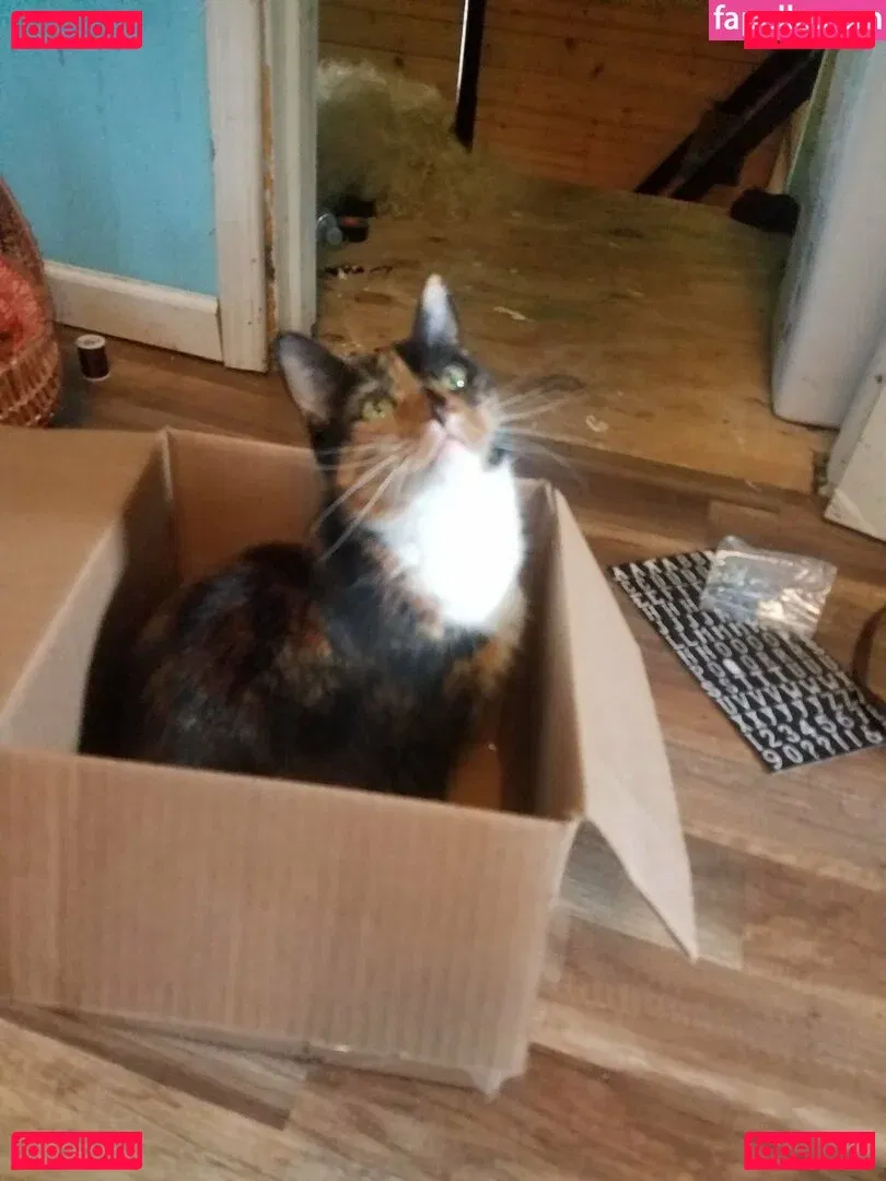 katcalico Onlyfans Photo Gallery 