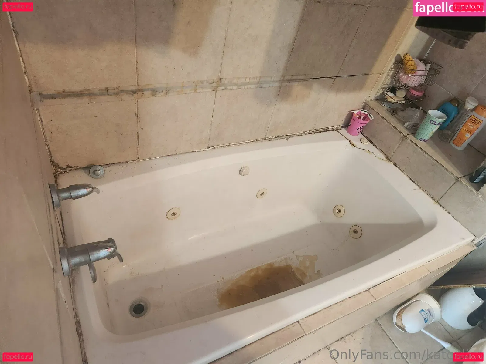 katcalico Onlyfans Photo Gallery 