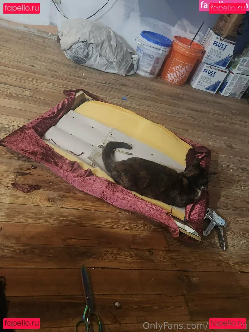 katcalico Onlyfans Photo Gallery 