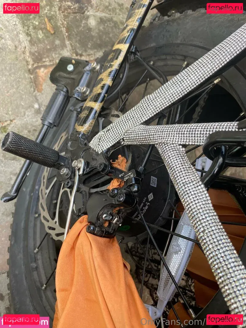 katcalico Onlyfans Photo Gallery 