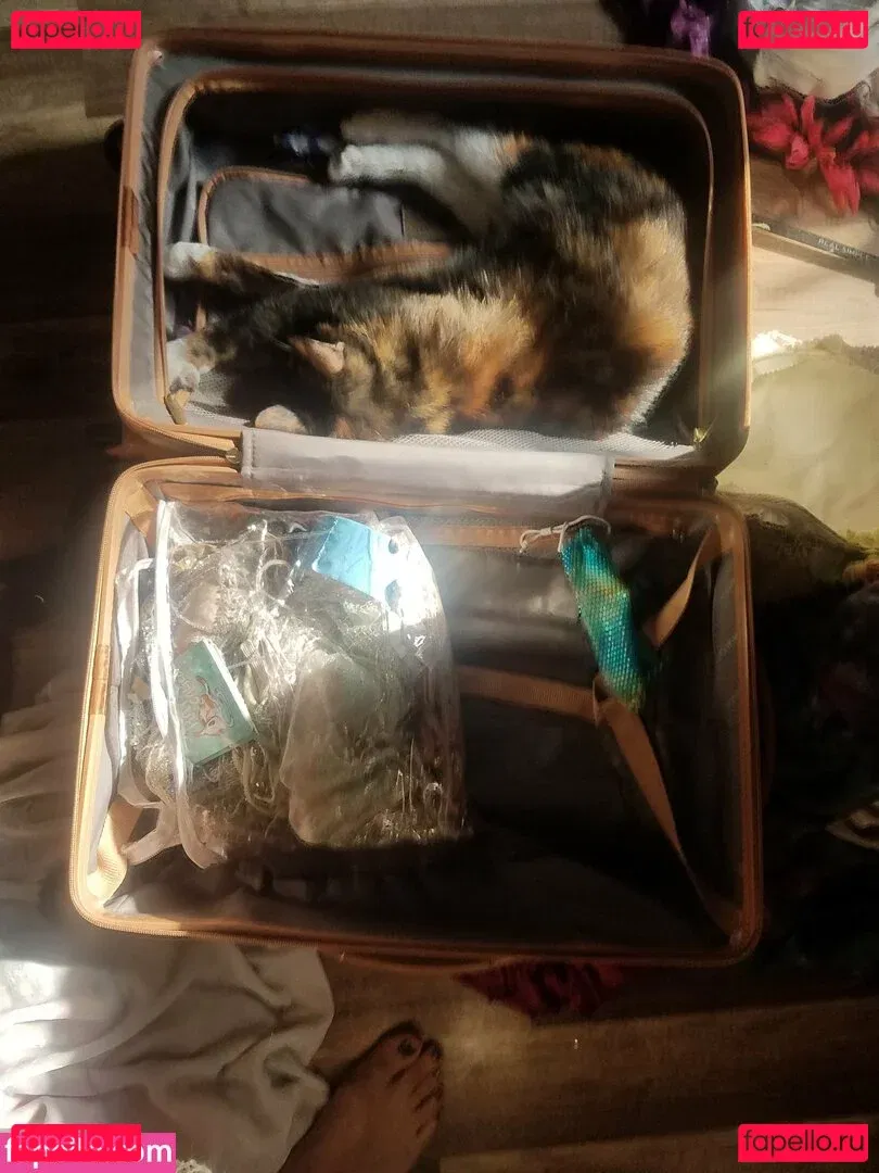 katcalico Onlyfans Photo Gallery 