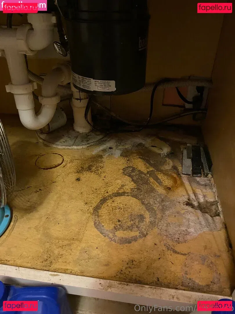 katcalico Onlyfans Photo Gallery 