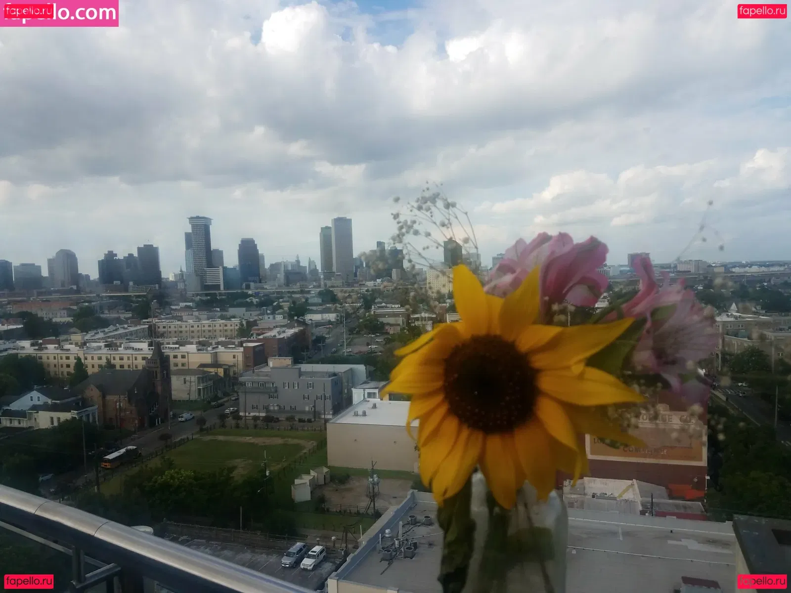 katcalico Onlyfans Photo Gallery 